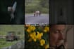 colour grade and enhance up to 2 of your photos with batch option