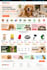 professional shopify website with free mobile app