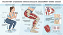 draw exercise, medical and anatomy illustrations