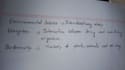 provide article writing and handwriting services