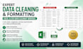 clean, format, organize and fix excel or CSV data professionally