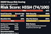 perform a professional website security assessment