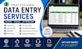 professional data entry services