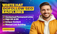 write authority backlinks, onlyfans SEO optimized articles, web promotion