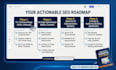 audit the website professionally
