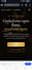 create professional websites at low price