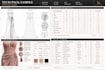 create evening gown and bridal dress tech pack