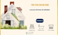 design canva social media posts