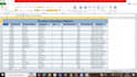 excel data entry and formatting