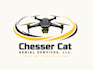 create a unique drone logo design