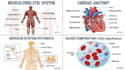 draw medical and science illustrations