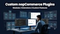 develop and customize nopcommerce