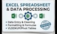 do excel data entry, copy paste and web research