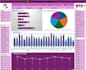create a professional excel dashboard with charts and kpis