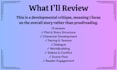 provide a developmental critique of your novel