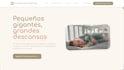 build a custom web app and saas platform