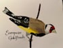 draw traditional bird illustration