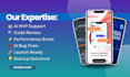 optimize ai app, fix mvp issues, review code, launch support in 72h