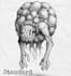 draw your dark designs