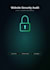 audit your website for common security vulnerabilities