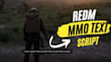 be your fivem and redm script developer for custom servers