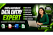 be your data entry expert for excel and word