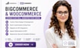 design bigcommerce woocommerce ecommerce seo customize bigcommerce website