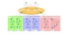build, configure, troubleshoot, vlan and vpn