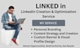 write a professional resume and CV