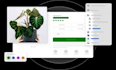 create a shopify store for you
