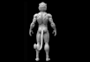 build printable 3d model from ai generated image, fix stl, articulated toy model
