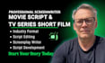 do your screenplay script editing formatting scriptwriting tv series tv pilot