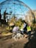 create authentic german family and mom ugc video ads