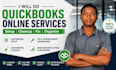 do quickbook online, quickbook setup, quickbook clean up, fix quickbook