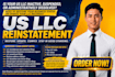 reinstate your US llc and file the required amendment