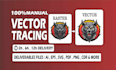 do fast vector tracing, redraw, convert image to vector