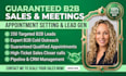 provide b2b lead generation, guaranteed appointment setting and sales closing