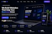 develop a professional business website