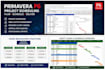 create a professional primavera p6 project schedule