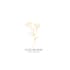 design elegant butterfly logo