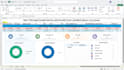 design professional excel dashboards and business data