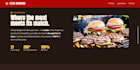 develop and launch your fully professional website
