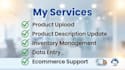 manage your ecommerce store and update product listings