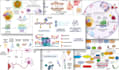create scientific figures, infographics, and flowcharts