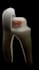 create anatomically accurate 3d dental  animations