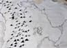 draw a fantasy map for you novel or ttrpg