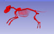 create 3d printable stl models from dog ct or mri scans