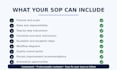 create professional sops and business process documentation