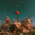 design album cover artwork