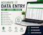do accurate data entry excel copy paste and web research